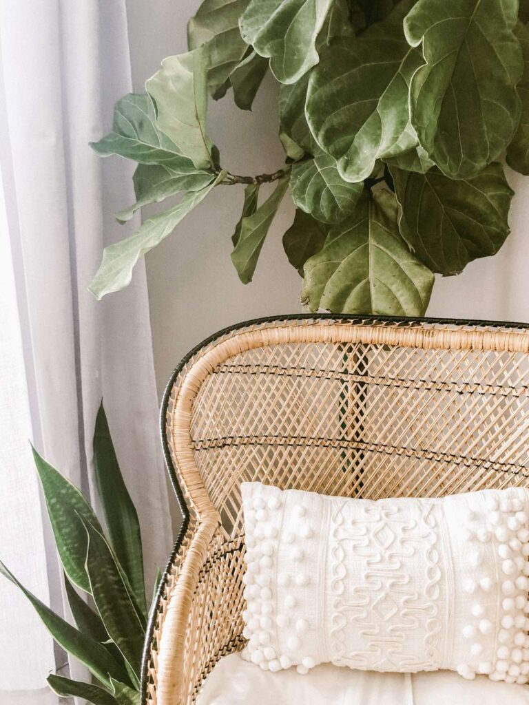 Top Quality Corvette Accessories