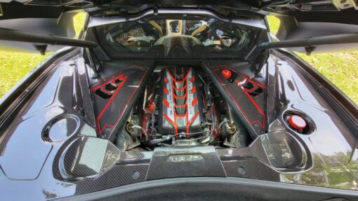 Engine Trim Panels 3pc carbon fiber