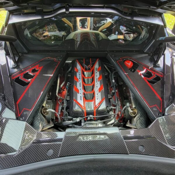 Engine Trim Panels 3pc carbon fiber