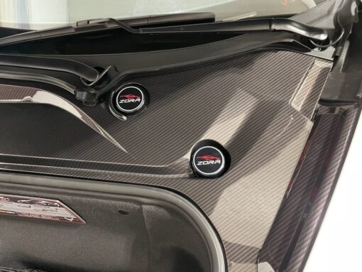 C8 Frunk TRim Hydrocarbon FIber